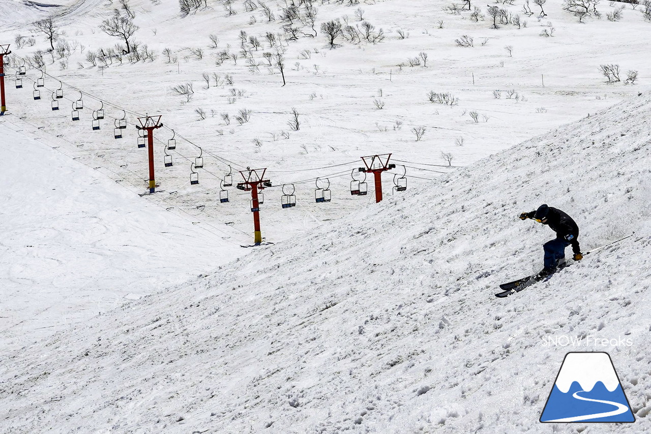 ニセコグラン・ヒラフ DYNASTAR SKI TEST RIDE DAYS Photo Session!!最高の天気に恵まれたニセコに、最高の仲間たちが集まりました☆